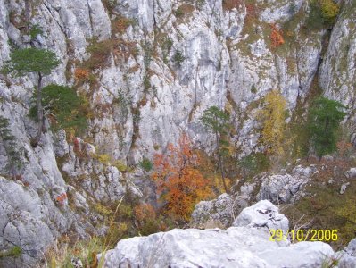 Avenul lui Adam