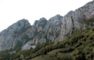 Rezervatii naturale