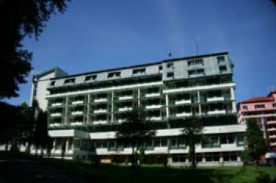 Hotel-Bradul