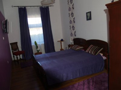 Pensiunea Vila Floare Albastra Hateg